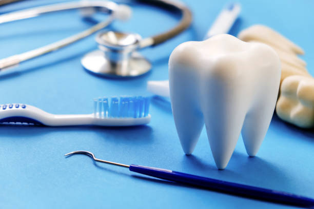 Professional Dental Services in Philmont, NY